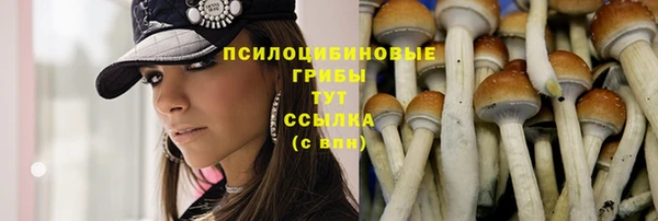 хмурый Абинск