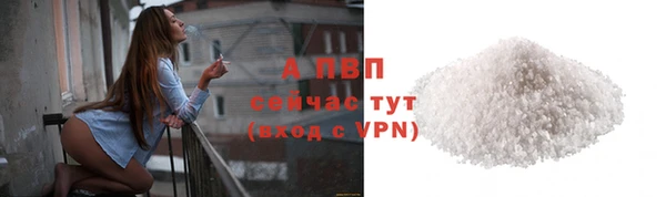 ПСИЛОЦИБИНОВЫЕ ГРИБЫ Покачи